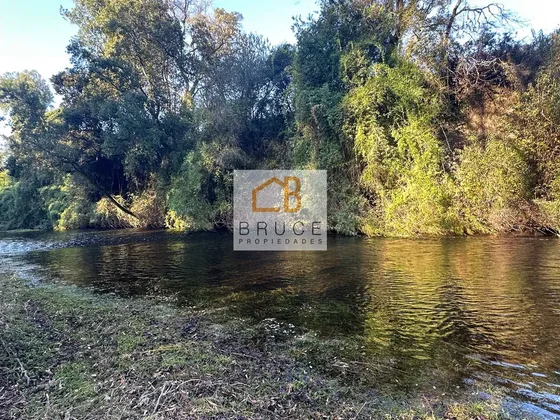 Parcela En Venta Orilla De Rio En Osorno