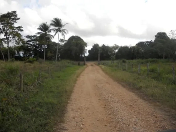 Vendo Finca Agropecuaria En Producción, A Orillas De Carretera, Cerca Del Parque Morrocoy. 253 Has. E. Waldemar