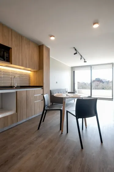 Departamento En Arriendo En Providencia 1d+1b