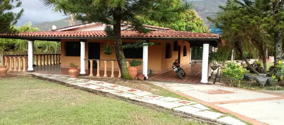(jv) Finca En Venta Sector Carache Tinaquillo Edo Cojedes 