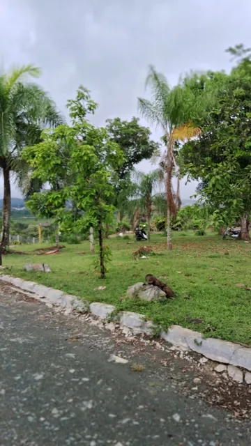 Vendo Lotes De Solares Desde 1,500 Metros En Adelante Para Construcción De Villas En Hormigo Villa Altagracia, República Dominicana 