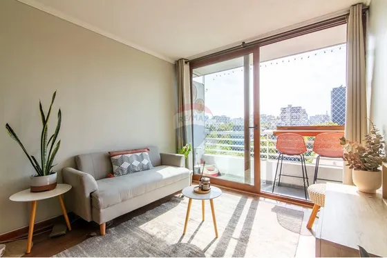 Lindo Departamento Los Nogales / Carlos Antunez