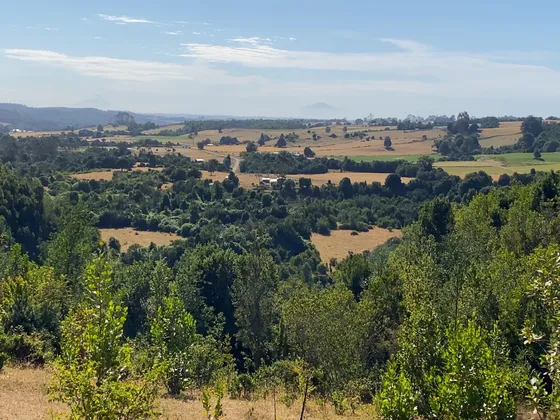 Campo En Los Muermos Con Electricidad Y Estero