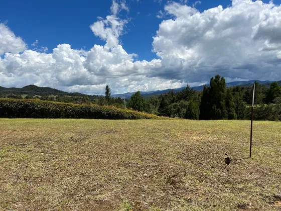Venta Lote En El Alto De Las Palmas Envigado 