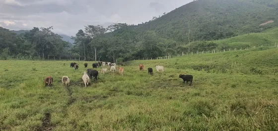 Ninoska Bautista Vende Finca Producti A A 30minutos De San C