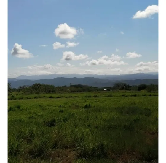Se Vende Finca En Autopista Cimarrón Andresote Estado Yaracuy