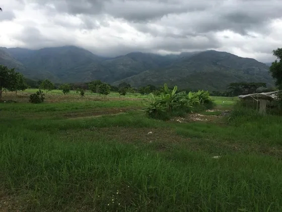 Magnifica Extension De Terreno En La Cumaca