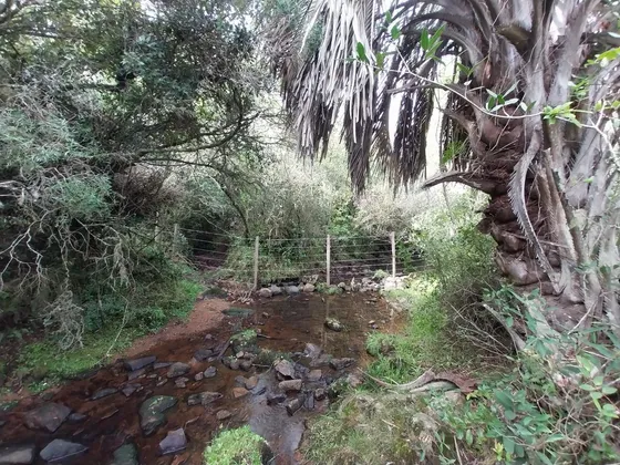 Campo En Aiguá 121 Hectareas