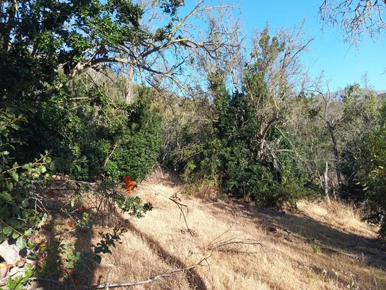 Oportunidad Sitio Venta Curacavi. Uf. 1.150 / 16.969 Mts2!!