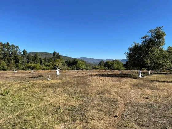 Terreno En Venta En Mesa De Jaimes