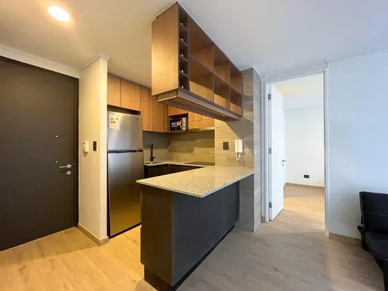 Arriendo De Departamento En Santiago. 1 Dormitorio, 1 Baño.