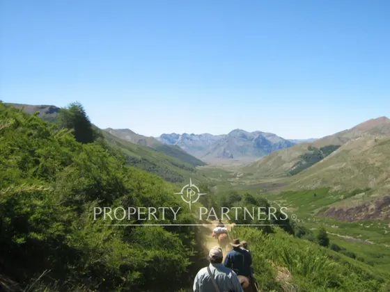 Campo De Cordillera En Antuco