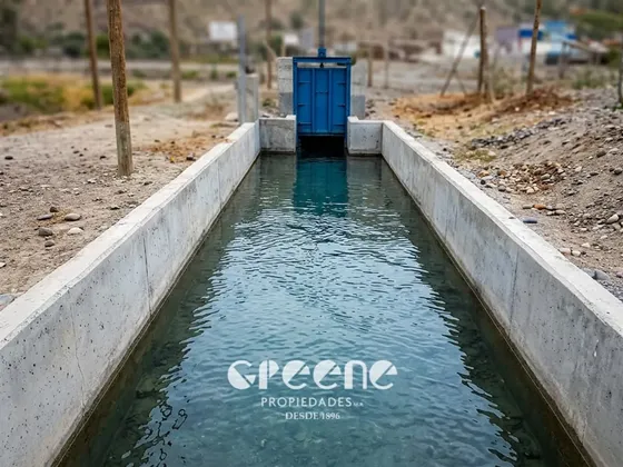 Agrícola En Venta En San Clemente
