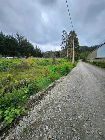 Sitio En Arriendo En Valdivia
