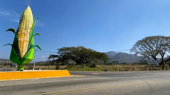 Rancho En Venta De 140 Hectáreas En Villaflores