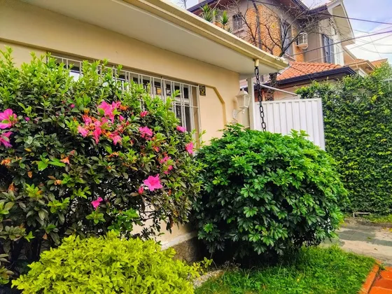 Imóvel Comercial Em Ótima Localização No Ipiranga