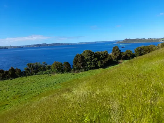 Hermosas Parcelas En Isla Lemuy, Chiloé