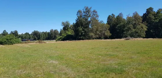Vende Parcela En Sector Runca Máfil Valdivia (100954)