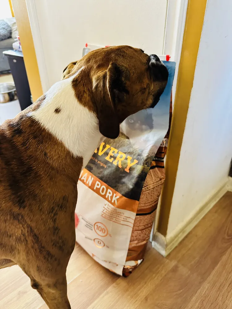 Foto del producto compartida por el comprador 8 de 8