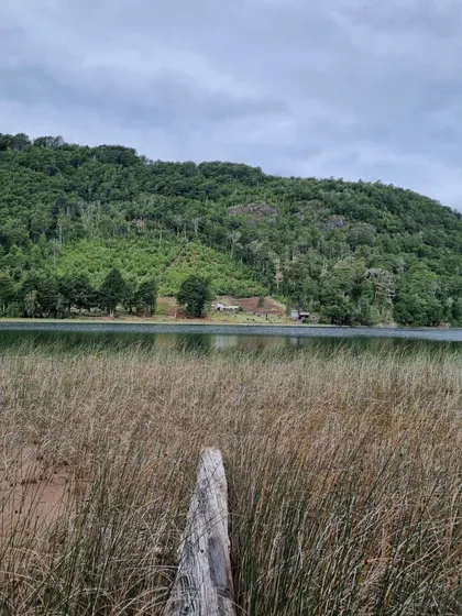 Parcela De 2 Ha Con Vista Al Lago Blanco En Llanada Grande