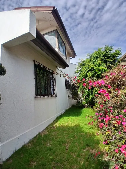 Venta 520m2 Casa 5d 4b 1bo 4e Santa Elena - Concón 
