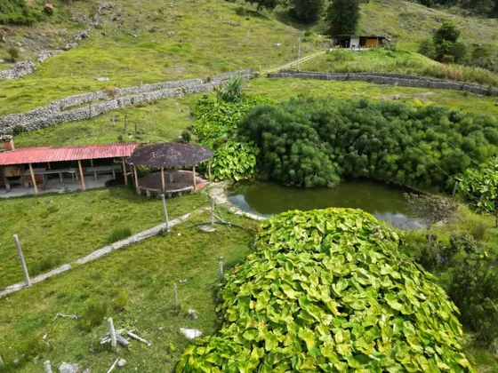 Se Vende Finca En Michelena 