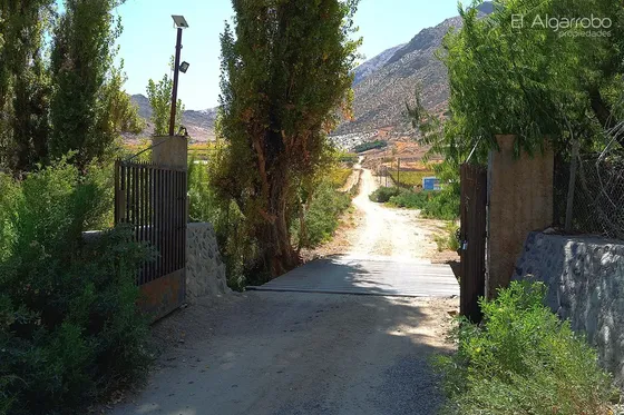 Predio Agrícola Con Palta Durazno Uva Monte Patria Coquimbo