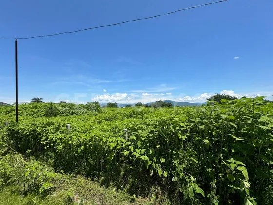 Venta De Terreno Tequesquitengo Morelos Lote 122