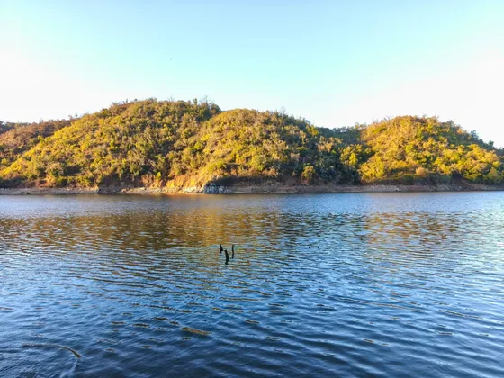 Parcelas Exclusivas En Lago Rapel  Sector Matancilla