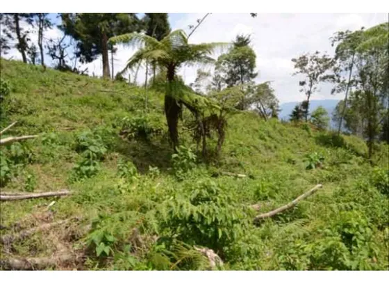 Vendo Hermoso Lote En Parcelacion En La Estrella Área 6.074m2