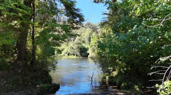 Macro Lotes - Borde Río Maullín, Sector Las Quemas