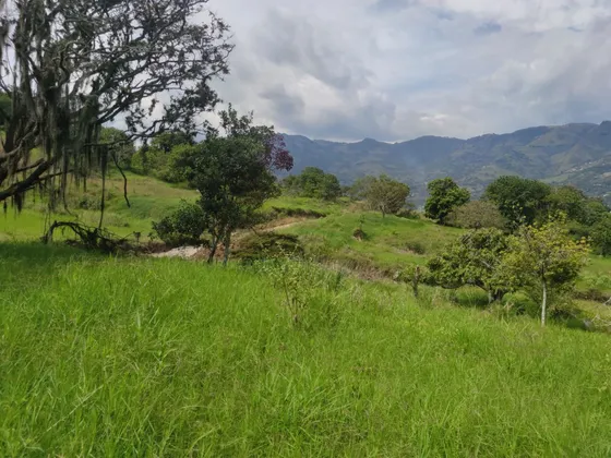 Lote En Girardota Vereda El Totumo