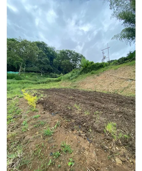 Lote En Venta Santagueda Palestina Caldas