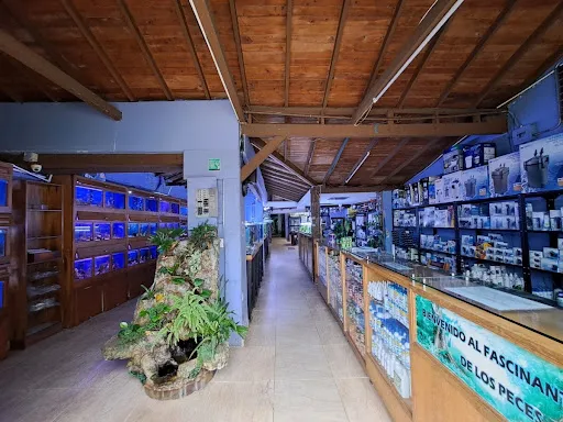 Locales En Arriendo Poblado 743-6682