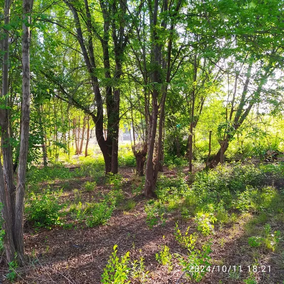 Terreno En Venta - Villa Parque San Jorge