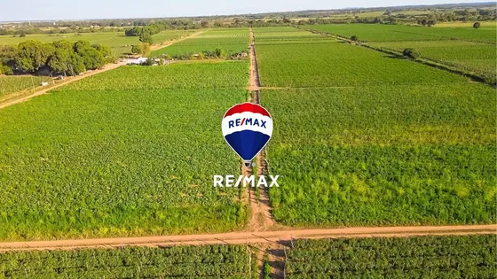 Campo 30 Hectareas Venta Colonia Santa Rosa Oran