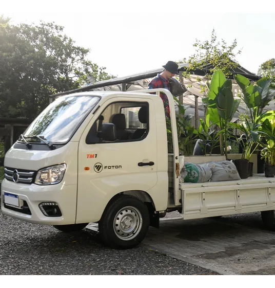 Foton Tm1 Cabina Simple 1.6 Esp