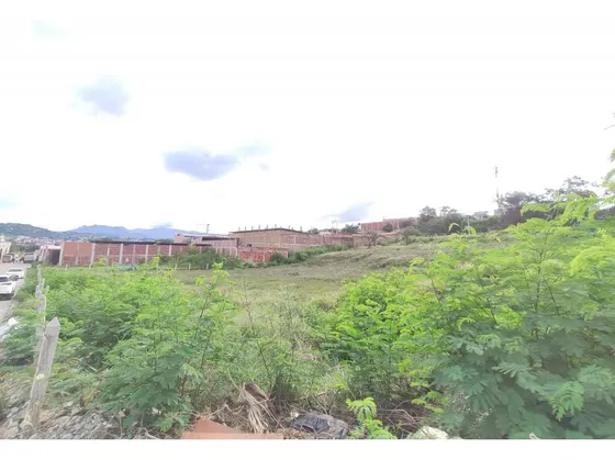 Lote En Venta En Panamericano. Cod V13699