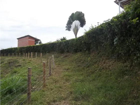 Venta Lote Las Margaritas Risaralda | Lote En Venta