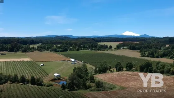 Venta Campo Cunco Los Laureles Araucanía