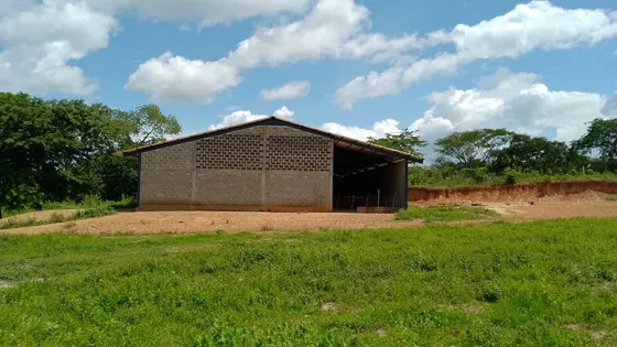  Finca En Cojedes 145has L.m