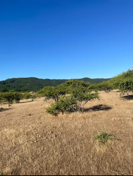 Venta Terreno - Sitio 1336000mts San Javier