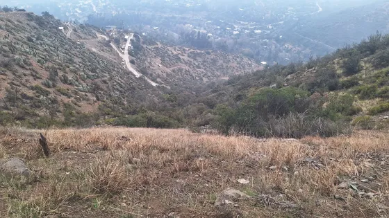 Gran Sitio En El Arrayan
