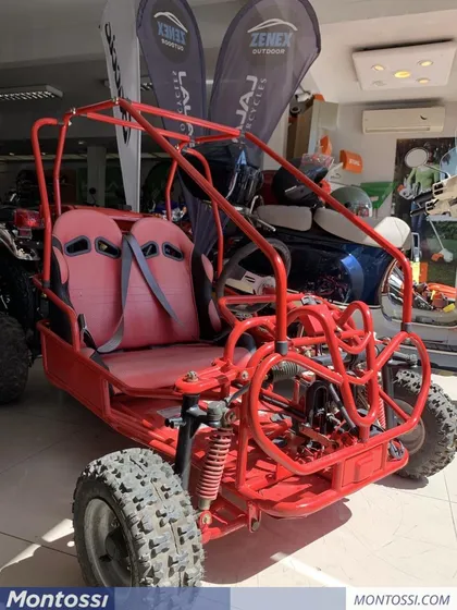 Suzuki Arenero -