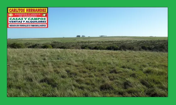 Campos Estancias Chacras En Venta En Paraguay - Disponemos