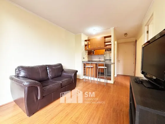 Imperdible Departamento Amoblado! Frente A Parque O'higgins