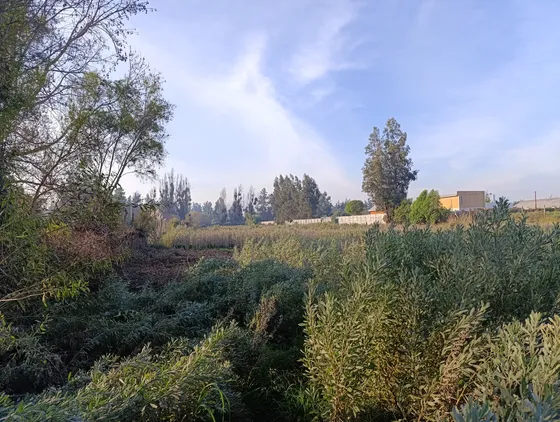 2 Sitios Extencion Urbana, En Jaime Guzman, Isla De Maipo