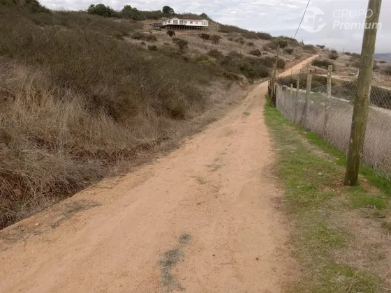 Parcela En Venta En Litueche