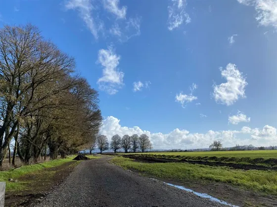 Sitio Venta En Vilcún, Temuco Sin Comisión Corredor