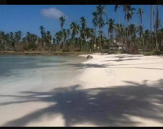 Se Vende Terreno En Las Galeras Samaná 